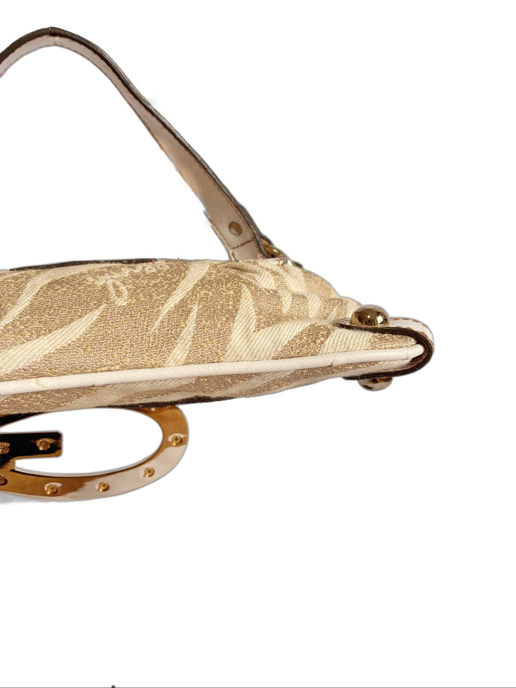 SAFARI GUESS