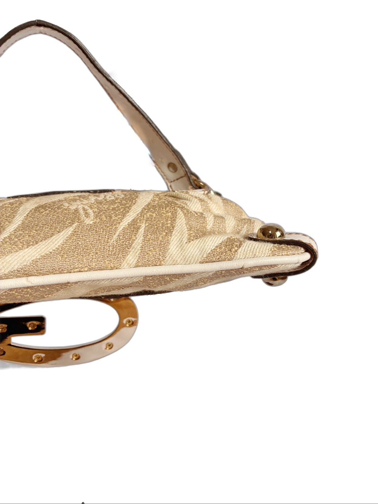SAFARI GUESS