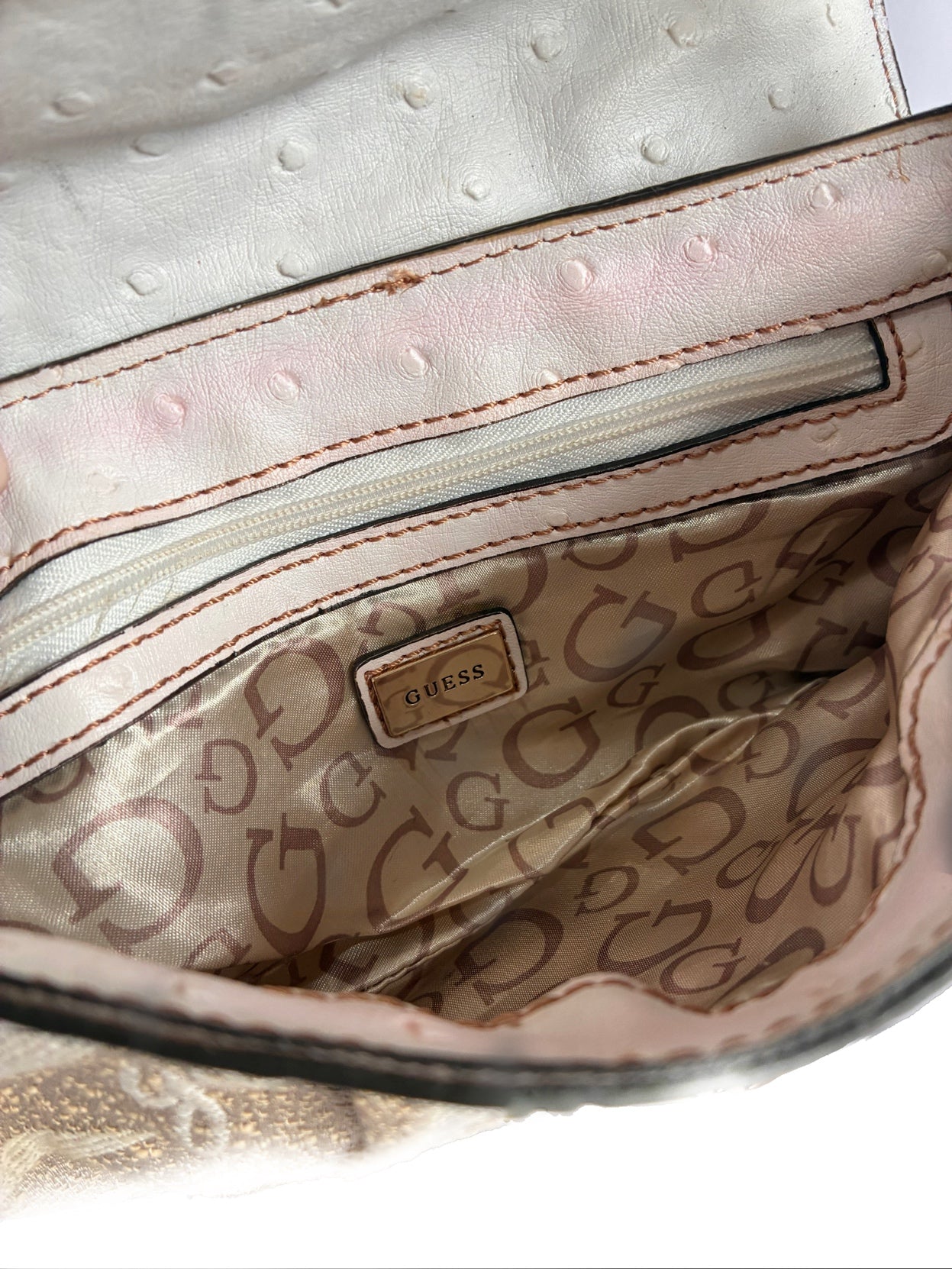 SAFARI GUESS
