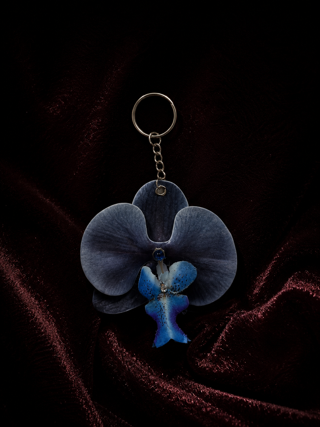 ORCHID BLUGIRL